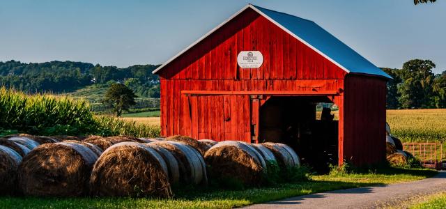 Red barn 