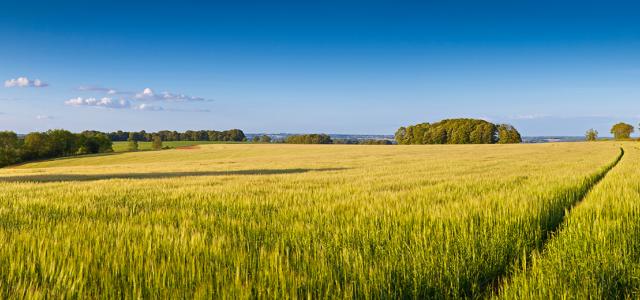 Dramatic sky, Idyllic rural landscape, Cotswolds UK